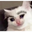 ملصق