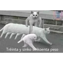 ملصق