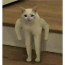 ملصق