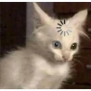 ملصق