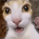 ملصق