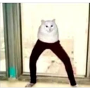 ملصق