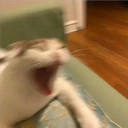 ملصق