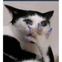 ملصق