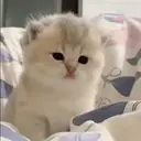 ملصق