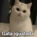 Çıkartma