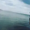 Çıkartma