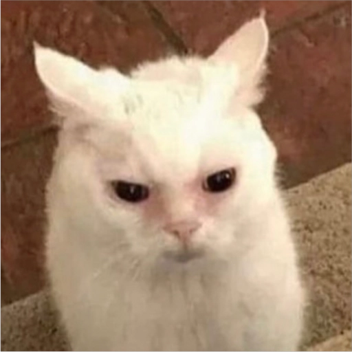 ملصق