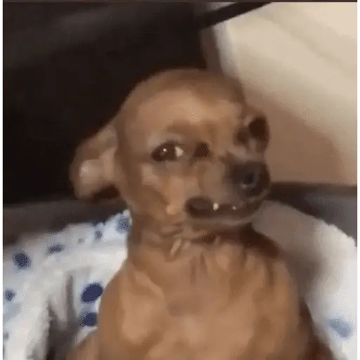 ملصق