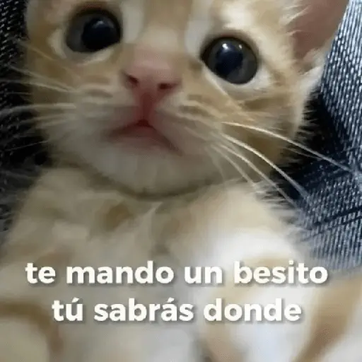 ملصق