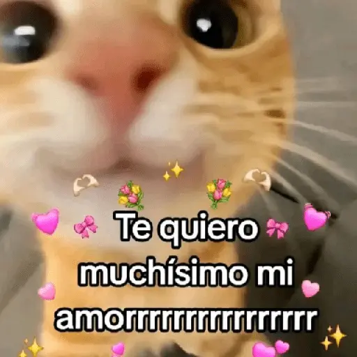 ملصق