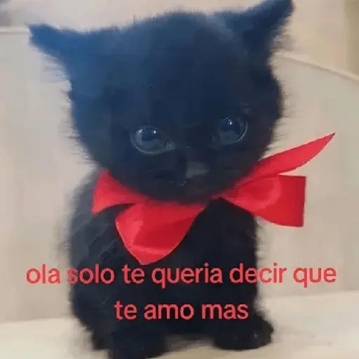 ملصق