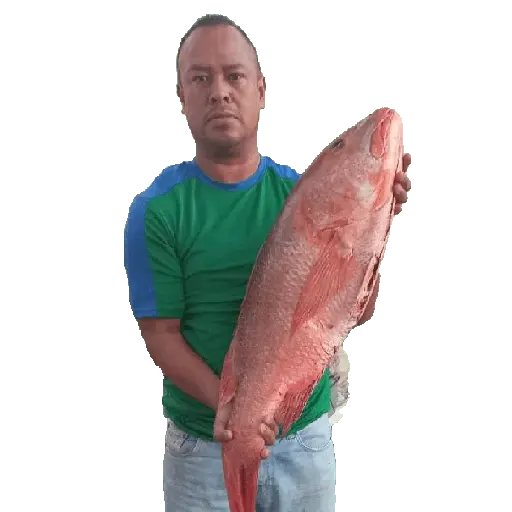 Çıkartma
