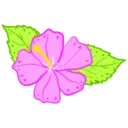 زهرة وردية